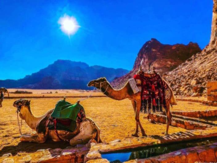 Moon City With Jeep Trips Wadi Rum Ngoại thất bức ảnh