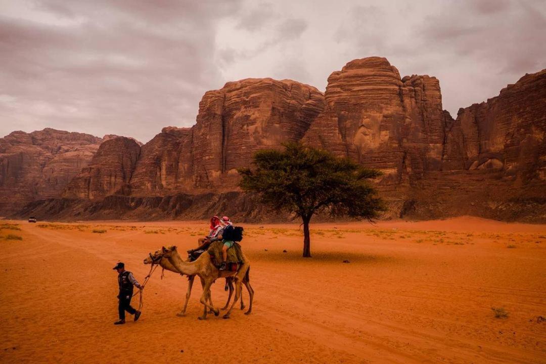 Moon City With Jeep Trips Wadi Rum Ngoại thất bức ảnh