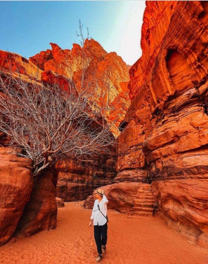 Moon City With Jeep Trips Wadi Rum Ngoại thất bức ảnh